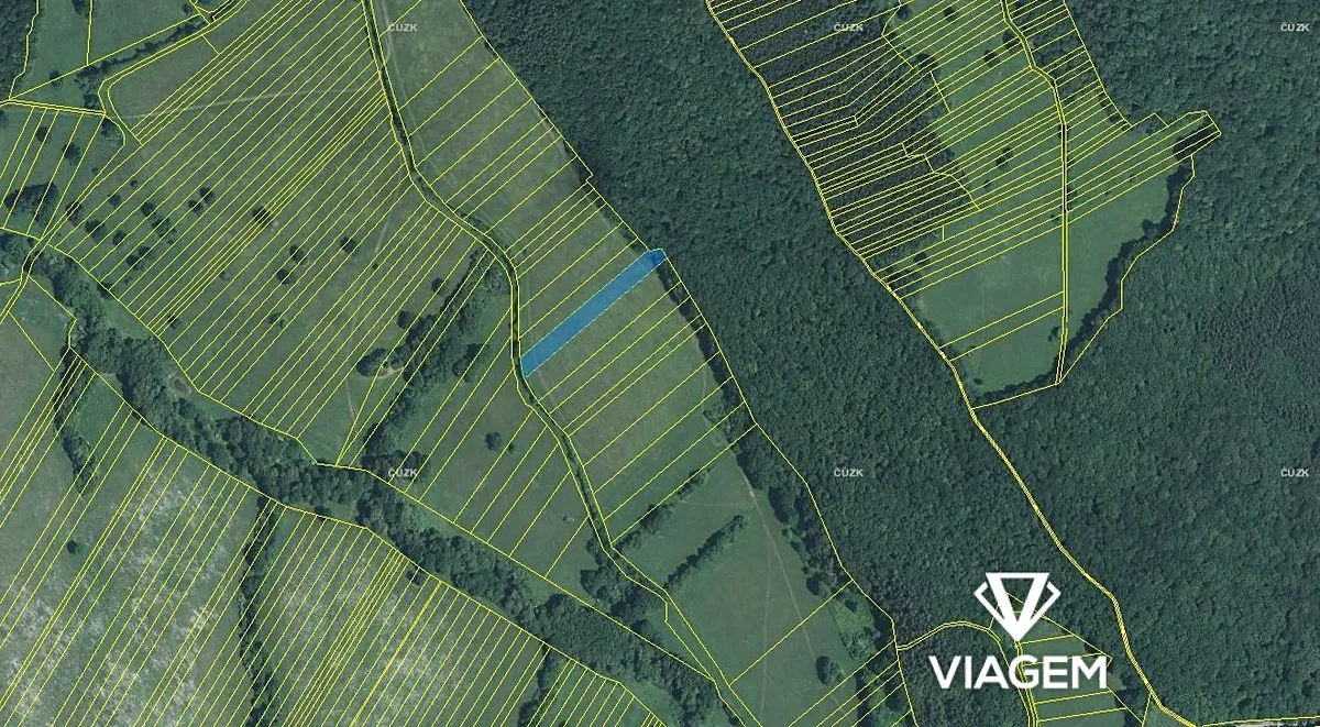 Prodej pole 4196 m²